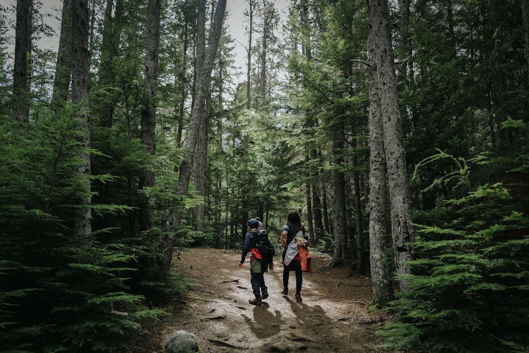 Family walking along a woodland path in the Lake District