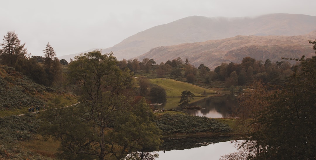 Tarn Hows in the Lake District, a beautiful easy walk near Penrith